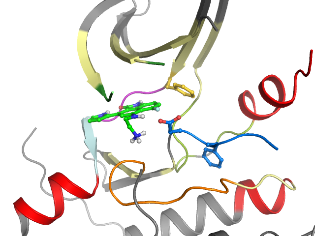 The orthosteric binding pocket