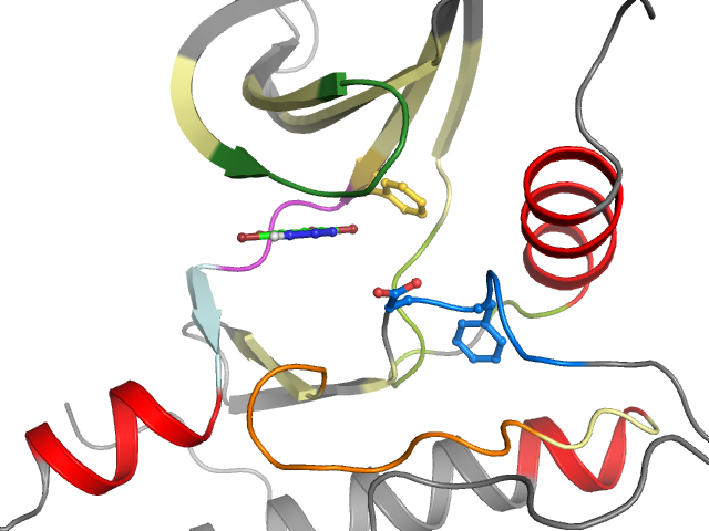 The orthosteric binding pocket