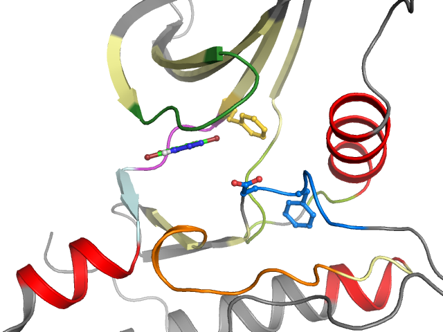 The orthosteric binding pocket