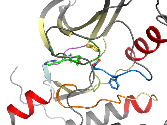 The orthosteric binding pocket