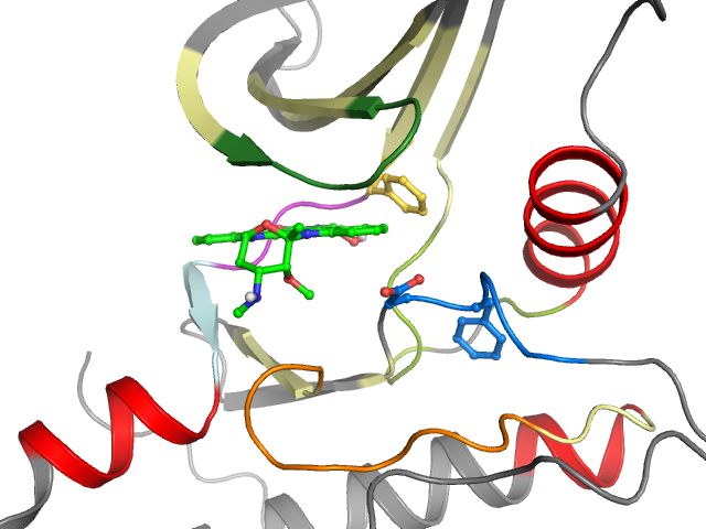 The orthosteric binding pocket