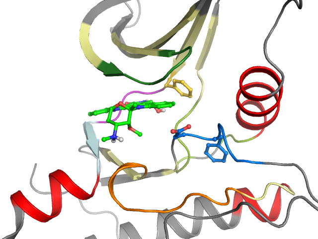 The orthosteric binding pocket