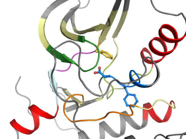 The orthosteric binding pocket