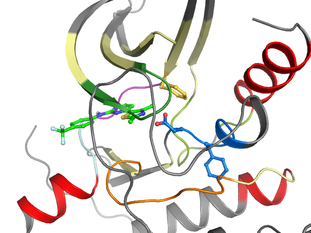 The orthosteric binding pocket