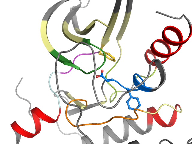 The orthosteric binding pocket