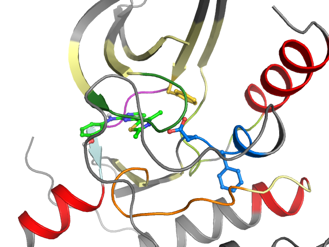 The orthosteric binding pocket
