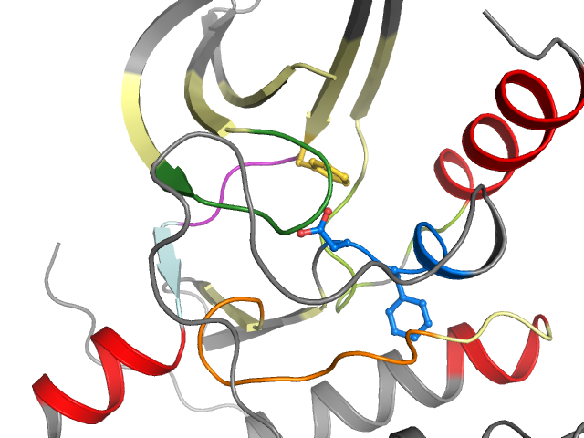 The orthosteric binding pocket