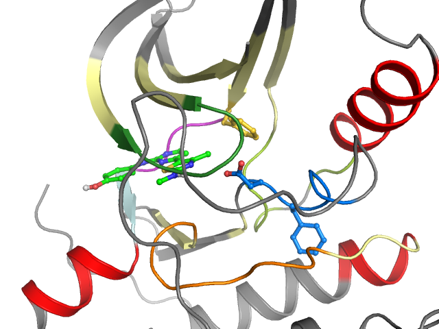 The orthosteric binding pocket