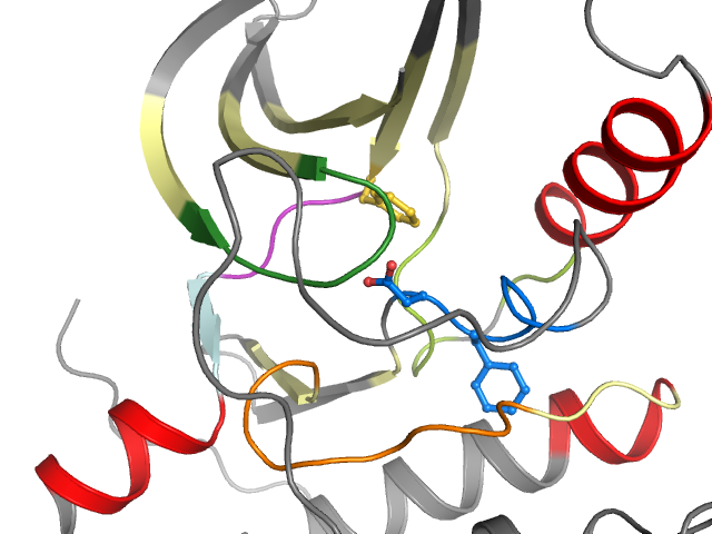 The orthosteric binding pocket
