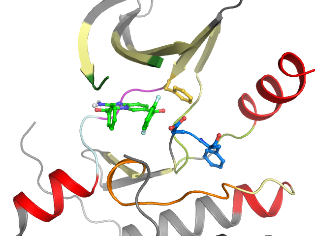 The orthosteric binding pocket