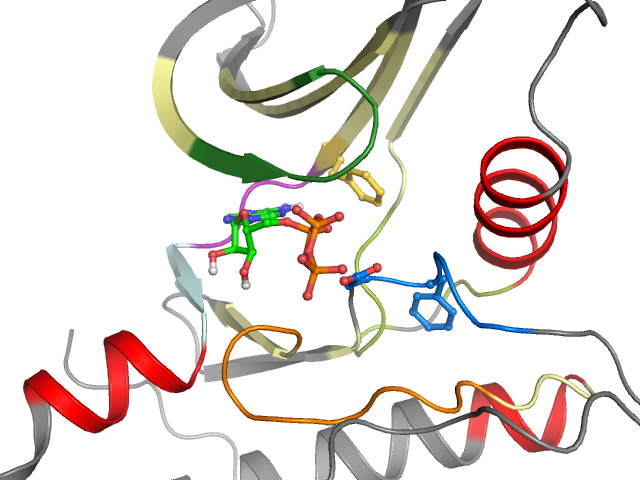 The orthosteric binding pocket