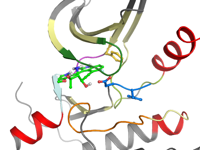 The orthosteric binding pocket
