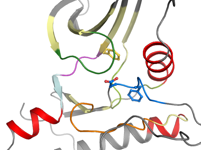 The orthosteric binding pocket