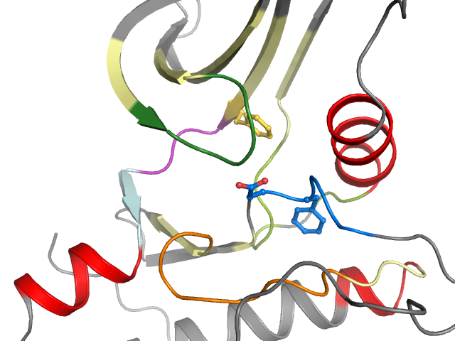 The orthosteric binding pocket