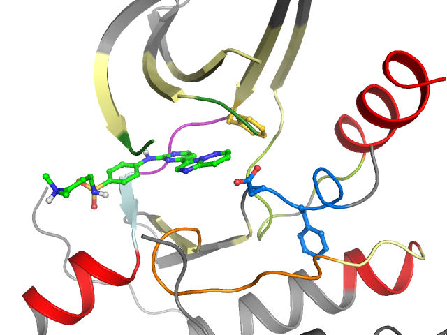 The orthosteric binding pocket