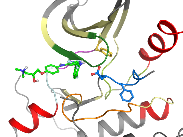 The orthosteric binding pocket