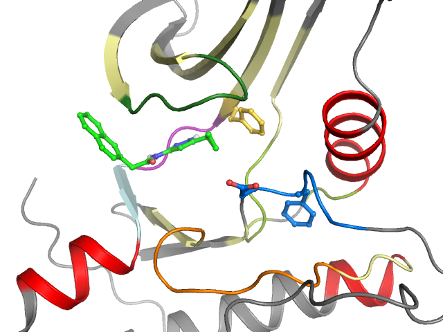 The orthosteric binding pocket