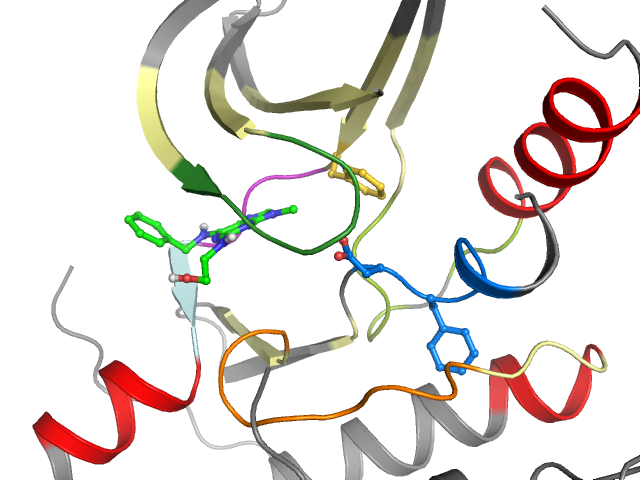 The orthosteric binding pocket