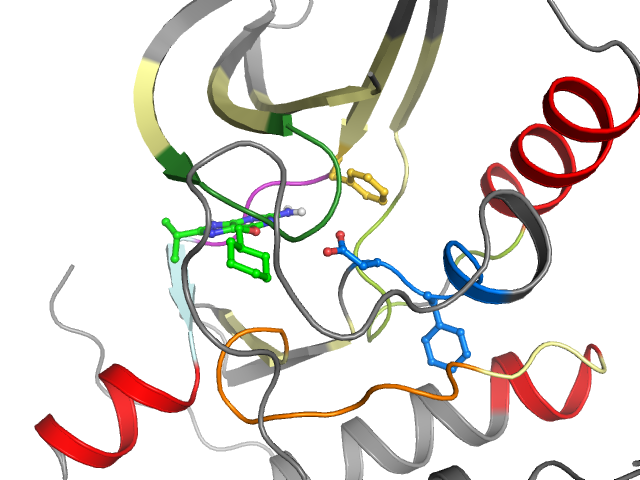The orthosteric binding pocket