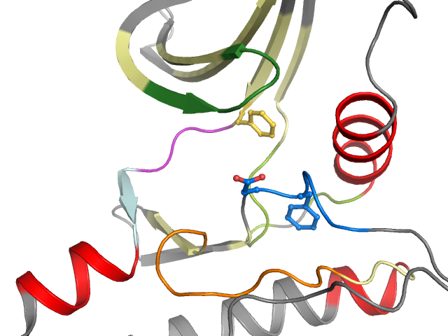 The orthosteric binding pocket