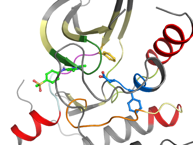 The orthosteric binding pocket