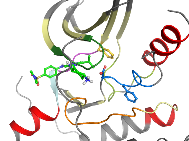 The orthosteric binding pocket