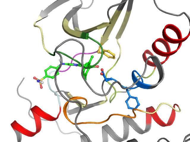 The orthosteric binding pocket