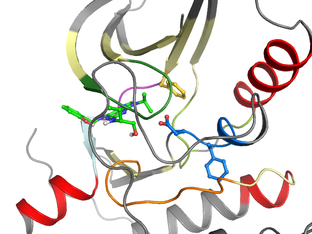 The orthosteric binding pocket