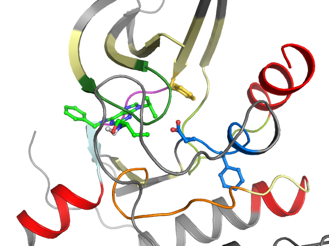 The orthosteric binding pocket
