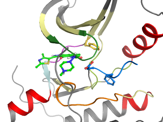 The orthosteric binding pocket