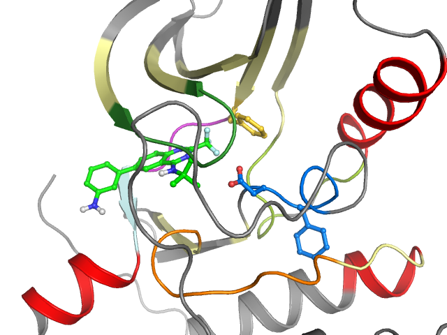 The orthosteric binding pocket