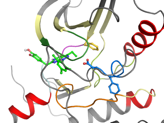 The orthosteric binding pocket