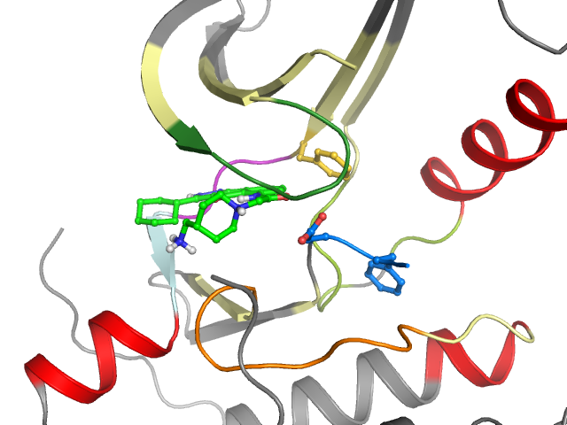 The orthosteric binding pocket