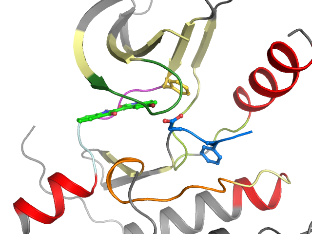 The orthosteric binding pocket