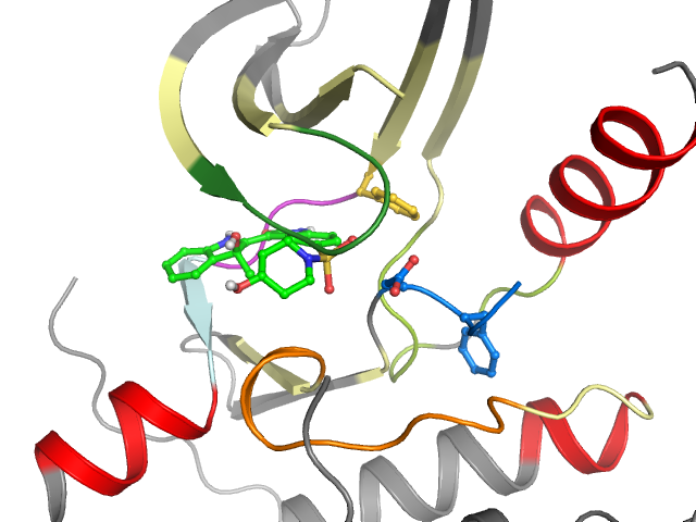 The orthosteric binding pocket