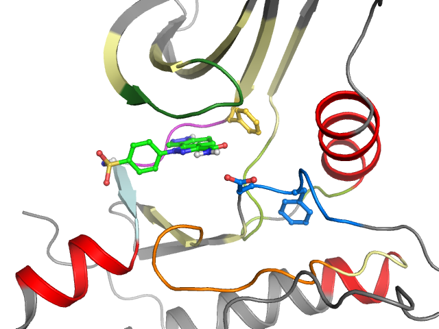 The orthosteric binding pocket