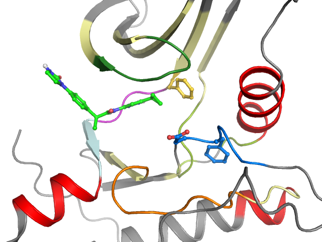 The orthosteric binding pocket