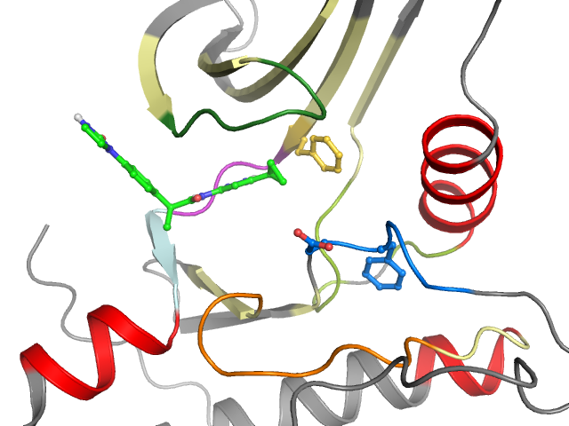 The orthosteric binding pocket