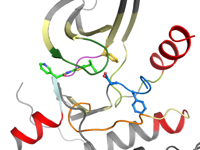 The orthosteric binding pocket