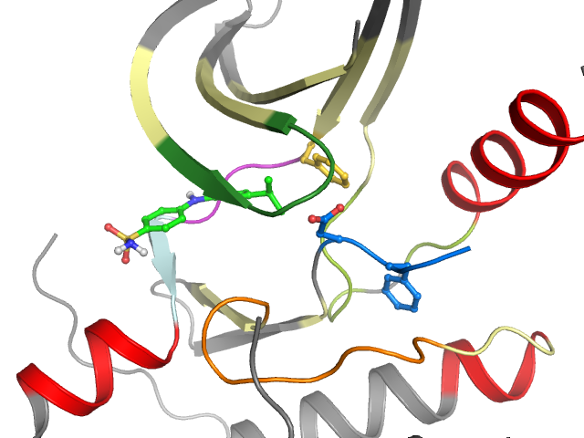 The orthosteric binding pocket