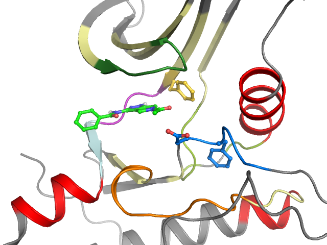 The orthosteric binding pocket