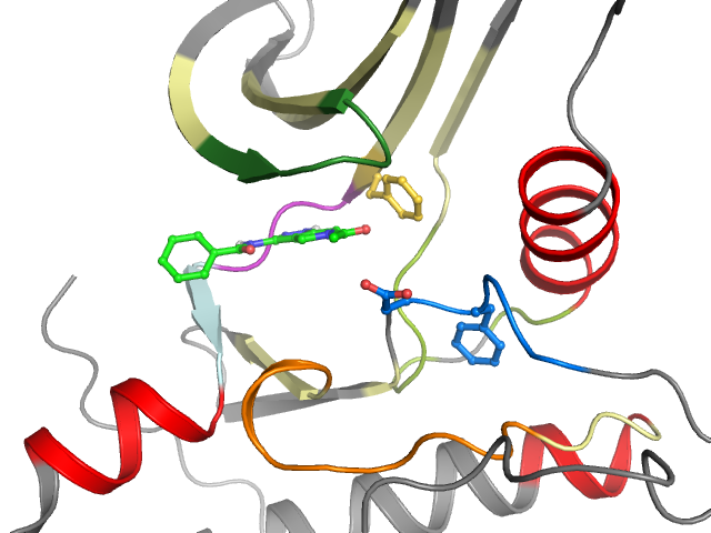 The orthosteric binding pocket