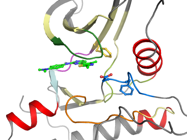 The orthosteric binding pocket