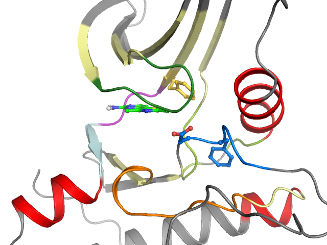 The orthosteric binding pocket