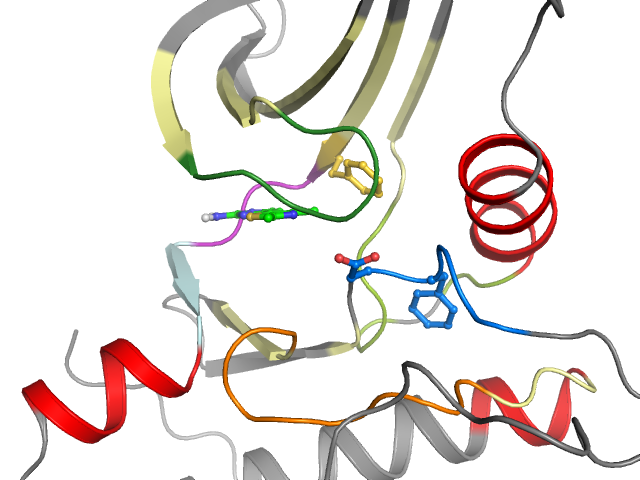 The orthosteric binding pocket