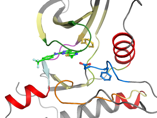 The orthosteric binding pocket