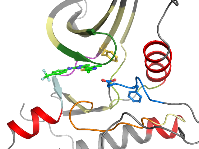 The orthosteric binding pocket