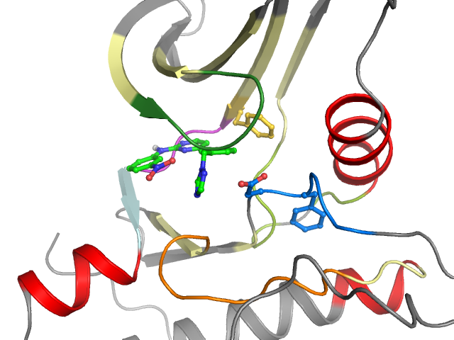 The orthosteric binding pocket