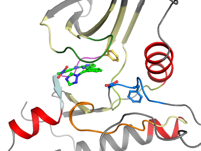 The orthosteric binding pocket