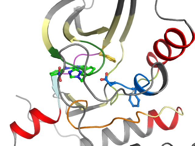 The orthosteric binding pocket